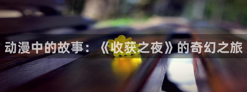 抖漫18+：动漫中的故事：《收获之夜》的奇幻之旅