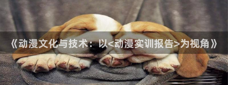 抖漫社：《动漫文化与技术：以<动漫实训报告>为视角》