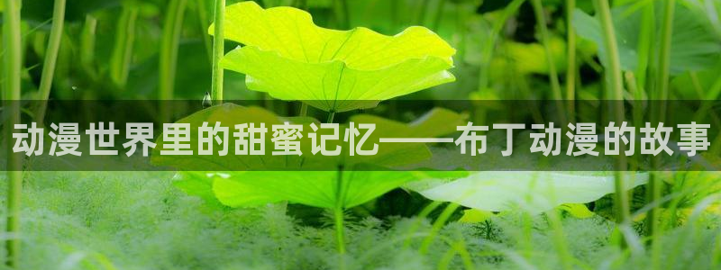 抖漫网址：动漫世界里的甜蜜记忆——布丁动漫的故事