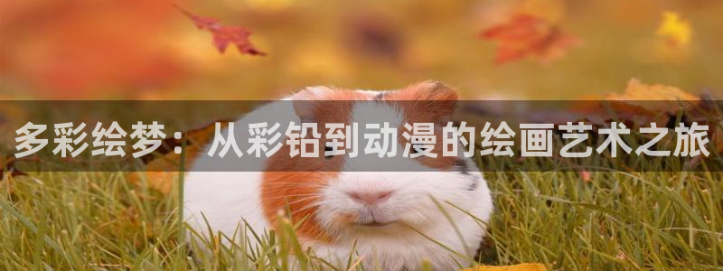 漫抖漫画：多彩绘梦：从彩铅到动漫的绘画艺术之旅